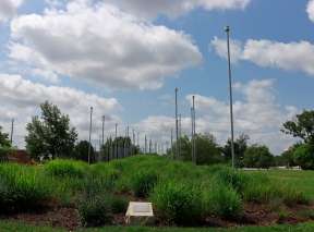 Pulse Field Sculpture by Derek Porter at Wichita Art Museum's Art Garden