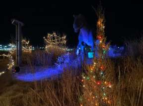 An animatronic T-Rex is decorated with Christmas Lights at the Holly Jolly Jurassic Holiday event at Field Station: Dinosaurs