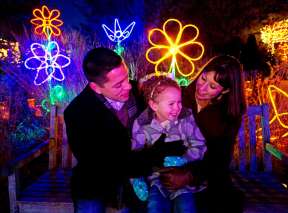 A family of 3 enjoy looking at the Christmas Lights