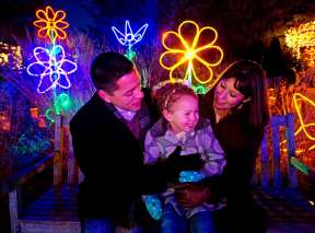 botanica illuminations tickets