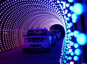 Cars drive through a tunnel of lights at Safari of Lights at Tanganyika Wildlife Park