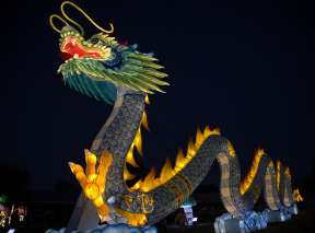 A large Asian lantern in the shape of a dragon is lit at Wild Lights