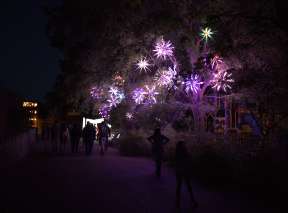 Fancy lights illuminate the trees at Sedgwick County Zoo during Wild Lights