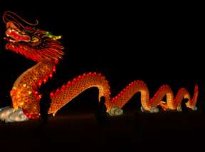 A large Asian dragon lantern is lit at the Wild Lights Exhibit at Sedgwick County Zoo