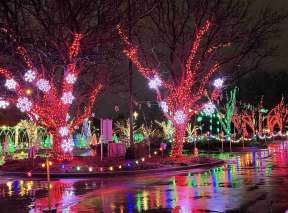 Snowflakes and Lit Trees at Illuminations Drive Thru