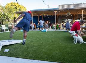 A man throws a bean bag during a game of cornhole at Hopping Gnome Brewing