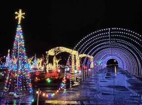 Christmas Tree and Tunnel at Botanica Illuminations Drive Thru