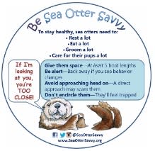 Sea Otter Savvy