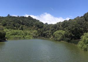 Waterdog Lake in Belmont California