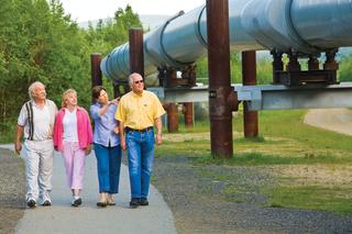 Pipeline viewing