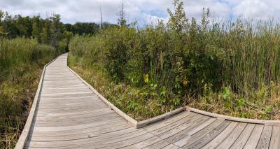 Tamarack Nature Preserve with sprawling boardwalk.