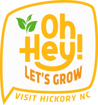Tourism Partner Summit February 2026 _ Oh Hey Lets Grow Logo