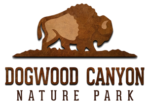 Dogwood Canyon Logo