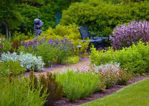 Gardens at Mt. Cuba Center, Hockessin, Delaware