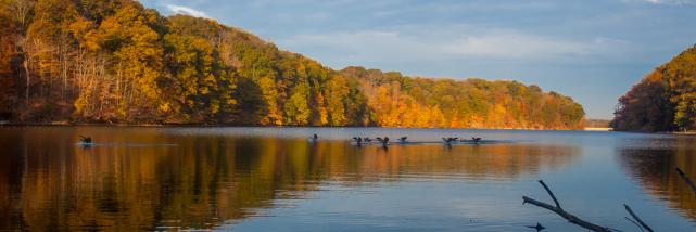 Griffy Lake 1