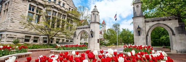 Sample Gates during spring with tulips