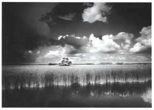 Vision of Florida at MOAS