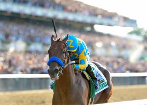 American Pharoah 2015 Belmont Stakes NYRA photo Adam Mooshian