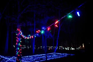 Christmas Lights & Decorations