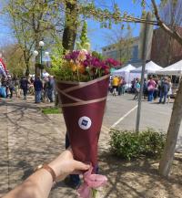 Flowers at the Lewisburg Arts Festival.