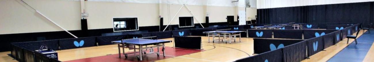 Freedom Courts Ping Pong