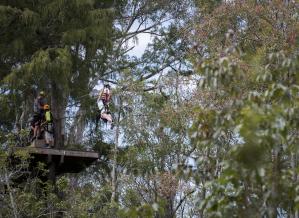 A person zips down a cable at The Swamp Park in Ocean Isle Beach, surrounded by lush green trees and others watching from the platform below.