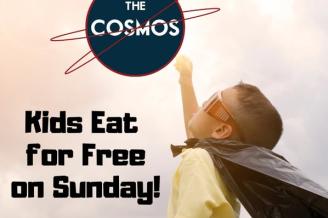 The Cosmos
