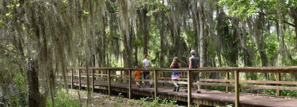 People walking along the Wetland Trace Nature Boardwalk in Lafitte, LA