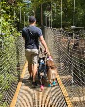 Rocket on swinging bridge