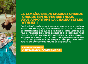 French Cheatsheet 1 - Nov 2024
