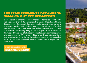 French Cheatsheet 4 - Dec 2024