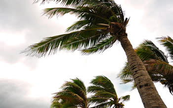 2020-Winds-and-where-they-come-from