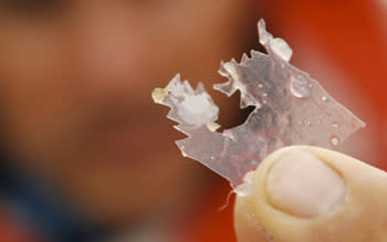 Plastics at sea create raft of problems