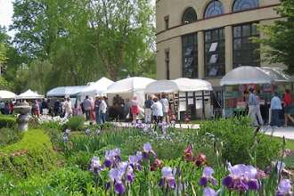 30th Annual Virtu Arts Festival