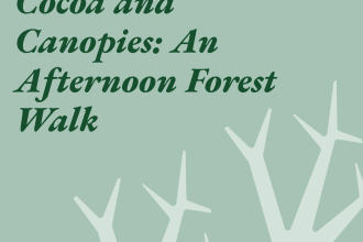Cocoa and Canopies: An Afternoon Forest Walk