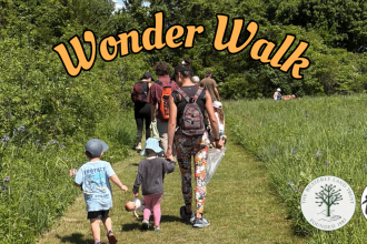 Wonder Walk