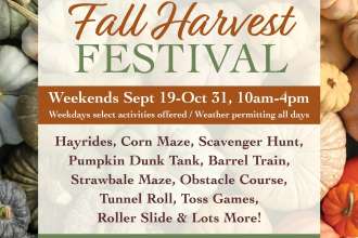 Fall Harvest Festival