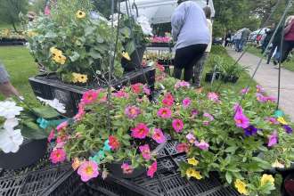 42nd Annual Garden Market Fair