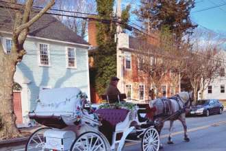 Wickford Holiday Horse Drawn Carriage Rides
