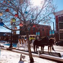 Carriage and ornaments
