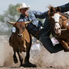 Rodeo Excitement
