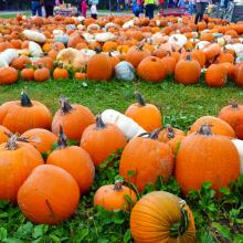 Posts In Halloween Leisure And Travel Blog