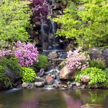 Anderson Japanese Gardens Waterfall