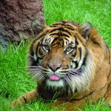 7 things you didn't know about the Topeka Zoo & Conservation Center