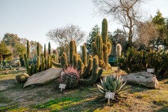 Clovis Botanical Garden