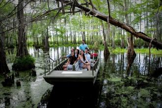 Bayou Swamp Tour