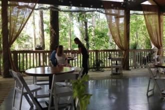Palmettos on the Bayou