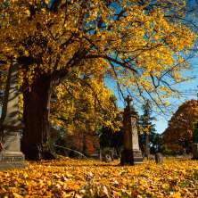 Albany Rural Cemetery Fall