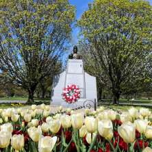 Henry Johnson in Washington Park