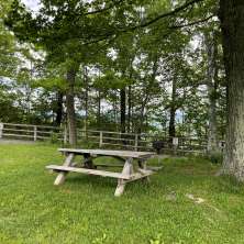 John Boyd Thacher State Park picnic table